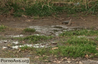 Lucia Denville – Pissing Scene 3. Lovewetting